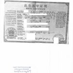 加拿大翻译公证中国出生证申请日本韩国签证