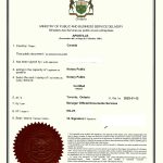 外国出生儿子放弃父亲中国遗产声明海牙认证