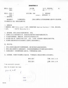 加拿大宠物猫回国携带委托海牙认证附加证明