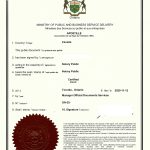 Divorce Declaration 离婚声明书海牙认证