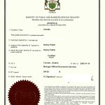 加拿大籍大陆华人双护照同一人声明海牙认证