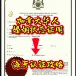 人在加拿大婚姻状况结婚证单身证明海牙攻略
