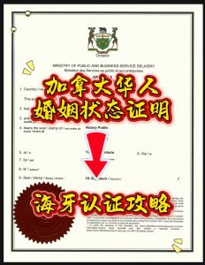 人在加拿大婚姻状况结婚证单身证明海牙攻略