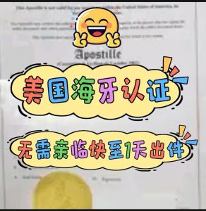 华译网美国海牙apostille无需亲临急1天出件