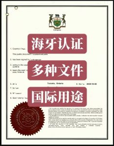 加拿大常见需要办理海牙认证的文件国内外用