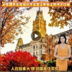 人在加拿大婚姻状况结婚证单身证明海牙攻略