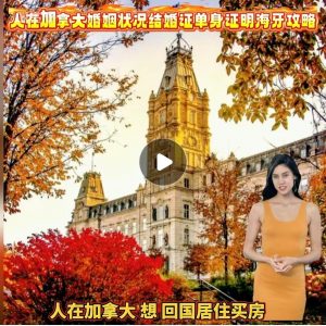 人在加拿大婚姻状况结婚证单身证明海牙攻略