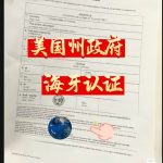美国州政府签发的海牙认证真实案例