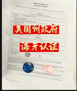 美国州政府签发的海牙认证真实案例