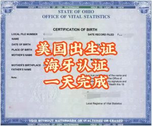 美国宝宝回国落户出生证明海牙认证1天完成