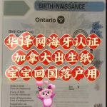 加拿大出生证海牙认证宝宝回国落户办理流程