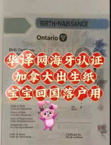 加拿大出生证海牙认证宝宝回国落户办理流程