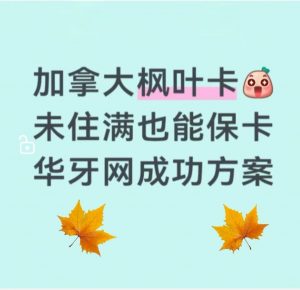 加拿大枫叶卡未住满也能保卡华译网成功方案