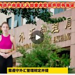 国内资产合法汇入加拿大定居声明书海牙认证