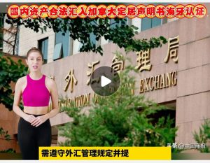 国内资产合法汇入加拿大定居声明书海牙认证