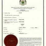 卑诗省人口统计局结婚证中英文公证海牙认证