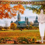 加拿大枫叶卡未住满也能保卡华译网成功方案