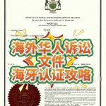 海外华人Power of Attorney 海牙认证攻略