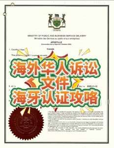 海外华人Power of Attorney 海牙认证攻略