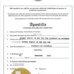 海牙认证附加证明书全球办理线上更快一天出件