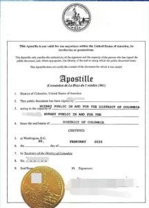 海牙认证附加证明书全球办理线上更快一天出件