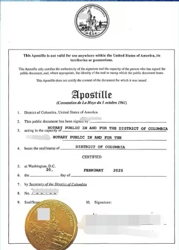 海牙认证附加证明书全球办理线上更快一天出件