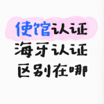 使馆认证和海牙认证的区别在哪