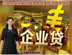 国内企业在银行贷款续贷委托书海牙认证