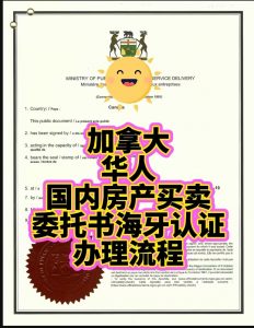 加籍华人国内房产买卖委托海牙认证办理流程