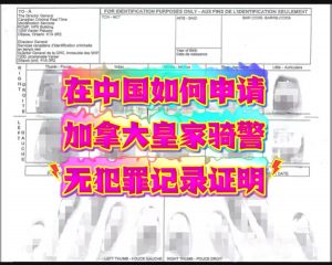 在中国如何申请加拿大皇家骑警无罪海牙认证