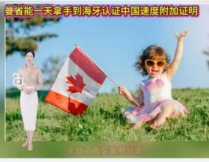 曼省能 1 天拿到海牙认证中国速度附加证明书