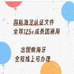 125+成员国通用海牙认证覆盖的核心文件清单