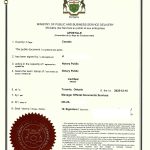 加拿大单身证明公证书海牙认证用于国内售房