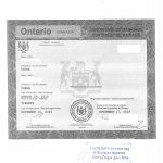 加拿大结婚证海牙认证加急一天完成