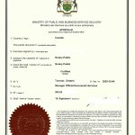 海外华人回国结婚需要做海牙认证单身声明书