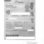 办理亲子关系证明但安省短版出生证未写父母姓名