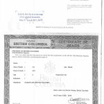 死亡证明海牙认证海外华人去世中国后事处理