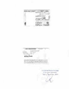 华侨回国定居咨询服务海牙认证附加证明公证