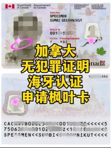 纽约华人录指纹办加拿大无罪海牙申请枫叶卡