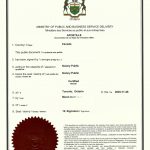 HAGUE APOSTILLE 加籍华人放弃继承北京父母遗产