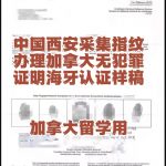 西安学子加拿大留学无犯罪证明海牙认证资料