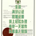 海牙Apostille认证全解析别再搞错看这里！