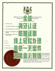 海牙Apostille认证全解析别再搞错看这里！