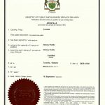 加拿大约克无犯罪证明海牙认证厄瓜多尔签证