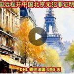 人在法国远程开中国北京无犯罪证明海牙认证