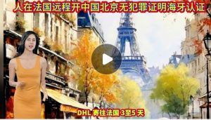 人在法国远程开中国北京无犯罪证明海牙认证