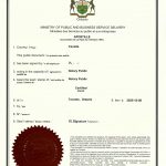 加拿大离婚判决翻译公证海牙认证回国内登记