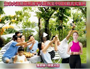 加拿大退籍证海牙认证恢复中国国籍真实案例