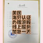 美国海牙认证办理程序.线上办理更实惠