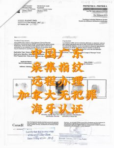 广东采集指纹远程办理加拿大无犯罪海牙认证
